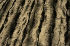 Super Luxe Tissu En Fourrure