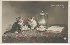 CHATS AG#MK032 NOS INTIMES DEUX CHATONS THEIERE TASSE A CAFE EVENTAIL
