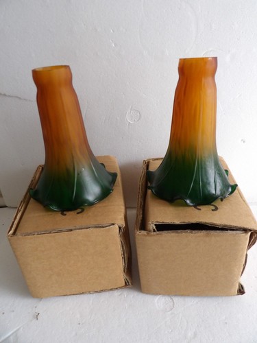 Lot tulipes longues en - de,