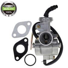PZ20 Carburetor For SUNL