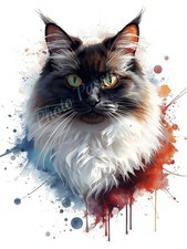 Photo A4 Black White Maine