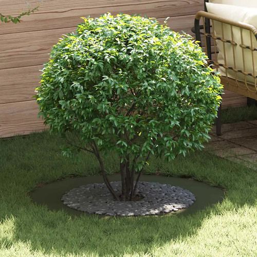 Anneau arbre - anneau,