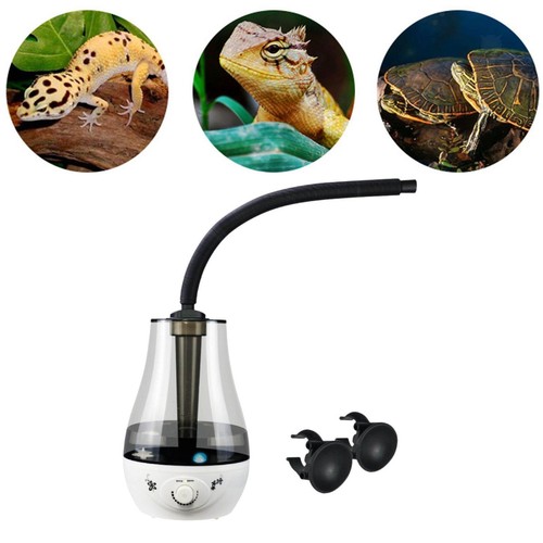 Humidificateur pour reptiles - humidificateur,