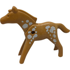 sympa poulain / cheval  1ere