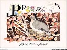 AJXP10-0990 - ANIMALS - Ramier Pigeon - Plum