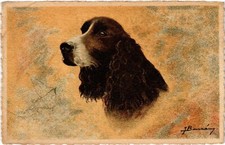 Old postcard AK Cocker Cocker Spaniel DOGS (1388140)