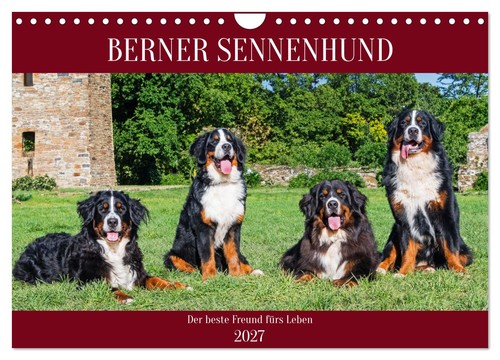Calendrier 2027 french - calendrier, ·