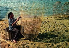 CORSE CORSICA - TRESSAGE D'UNE