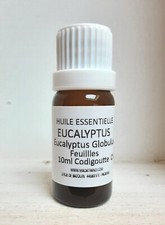 Huile Essentielle Eucalyptus