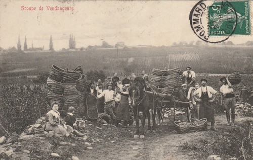 Cpa pommard groupe de - pommard,