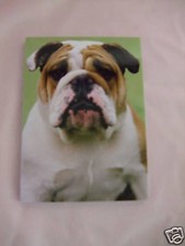 Carnet aimanté à feuilles détachables - BULLDOG ANGLAIS