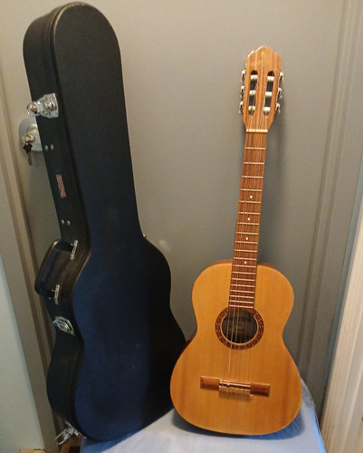 Giannini 1900 acoustic guitar - giannini,