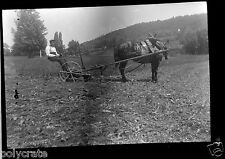 Portrait homme sur charrue