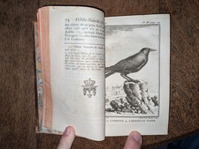 Buffon - Histoire Naturelle