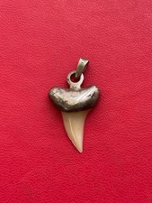 Beau pendentif en argent avec