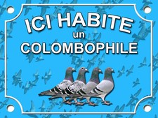 PLAQUE ALU COLOMBOPHILE - Au