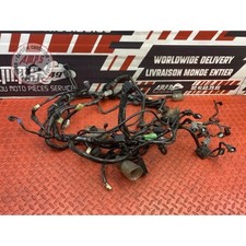 Faisceau électrique