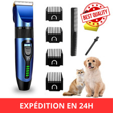 Tondeuse chien chat animaux