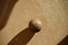 Balle de golf vers 1900 -