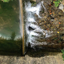 Jessica Moss Phosphenes (CD)