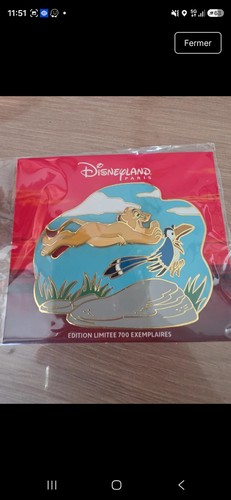 Pins disneyland paris - pins,