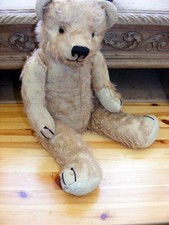 Alban ours ancien Français