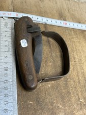 Rainette marquage Forestier