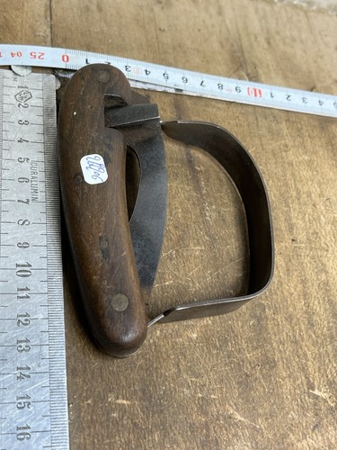Rainette marquage forestier - rainette,