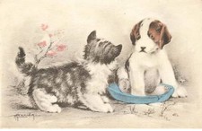 CHAT #FG35305 CHATS CAT KATZE ET CHATON CHIOT JACK RUSSELL PAR ILLUSTRATEUR NA