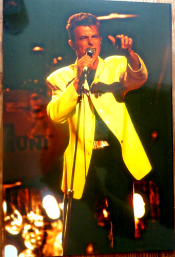 David bowie photos 20x30cm - photos,