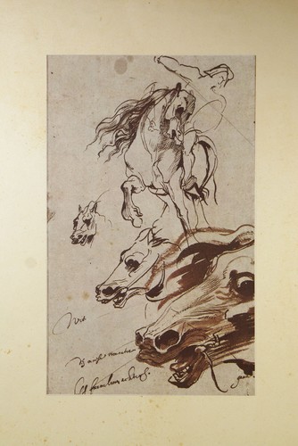 Etude cavalier de - etude,