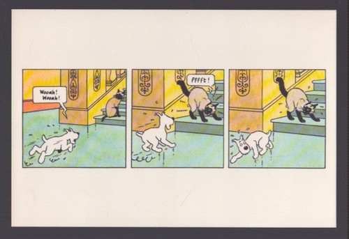 Carte postale tintin - carte,