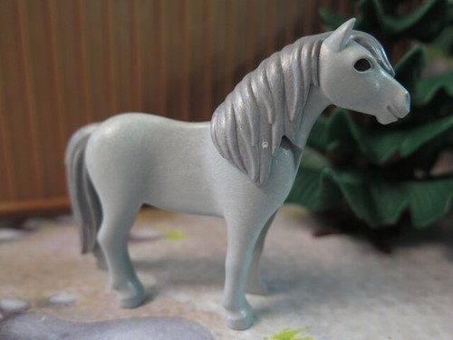 Poney gris 5684 - 6256, 6927