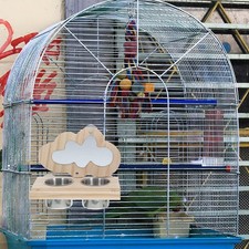  Miroirs Pour Cages À Oiseaux