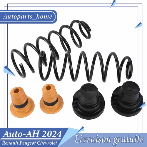 Paire ressort suspension - ressort,