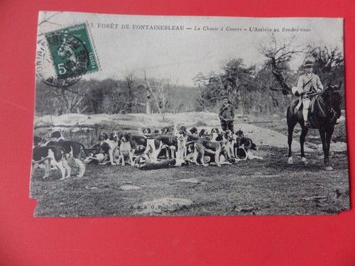 Cpa chasse courre - cpa,