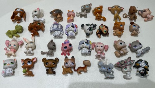 Lot little pet - pet, shop