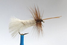 10 x Mouche Sèche SEDGE GODDARD BLANC H10/12/14/16 mosca fly peche nacre white