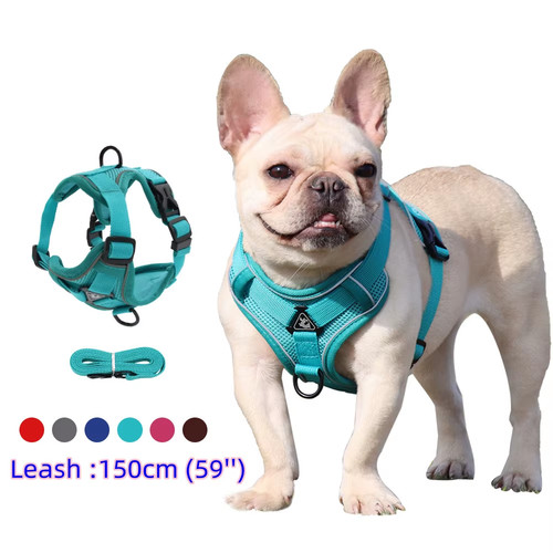 Harnais chien anti traction - harnais, +