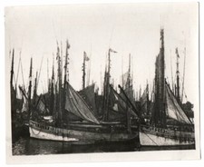 photo snapshot c. 1930 Barques