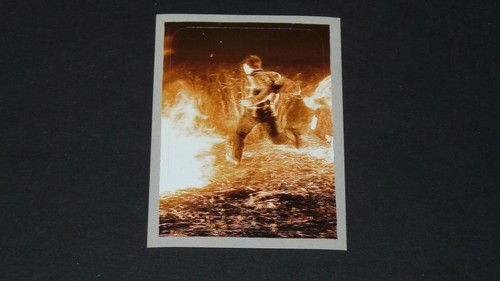 135 panini harry - panini, potter