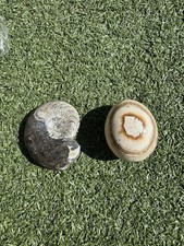 Objets de collection et