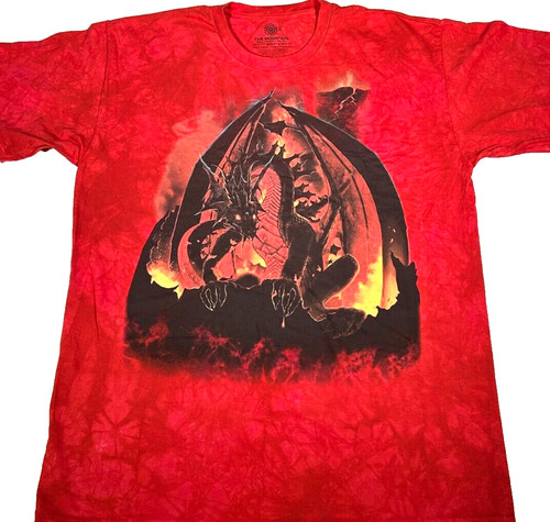 Fire dragon shirt - fire, red