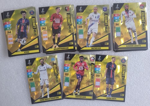 2024 panini adrenalyn xl - panini,