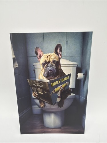 Poster postcard humor - poster,