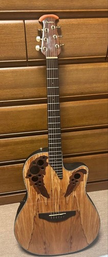 Guitare électrique acoustique