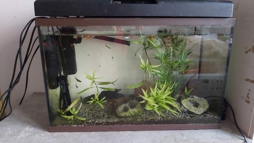 Aquarium 60l plus - aquarium, une