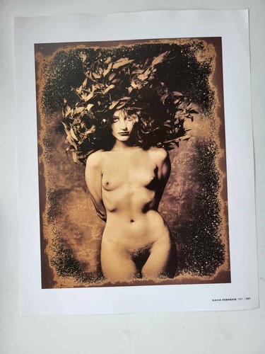 Erotique photographic print - erotique,