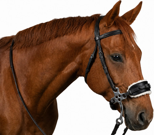 Embout cheval bride sans - bride,