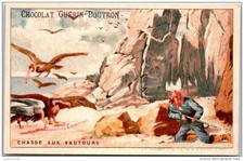 GUERIN BOUTRON - vulture hunting